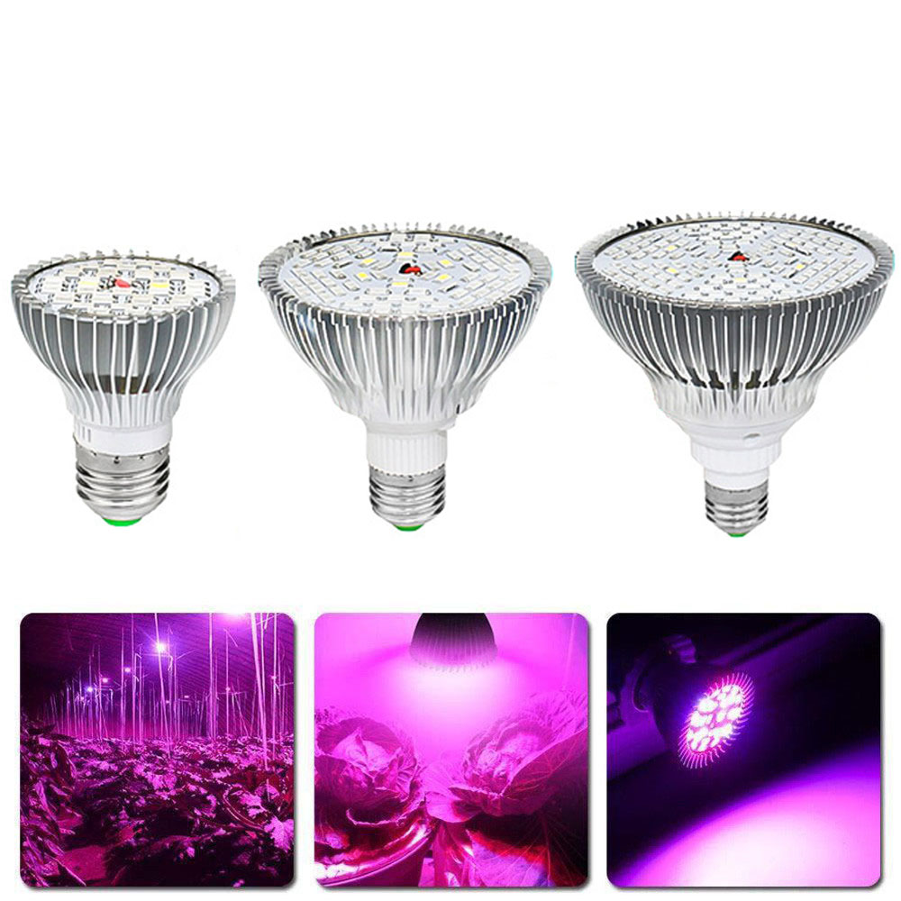 LED Plant Growth Lamp 30w 50w 80w Aluminum Parts Cooling Par38 Plant Lighting 